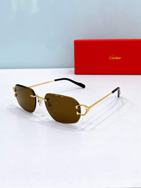 Picture of Cartier Sunglasses _SKUfw80535779fw